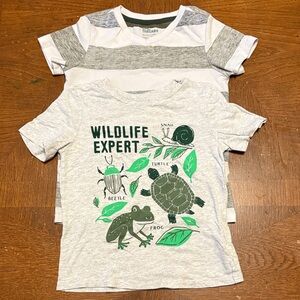 Boys Short Sleeve T-Shirt Bundle Size 5T